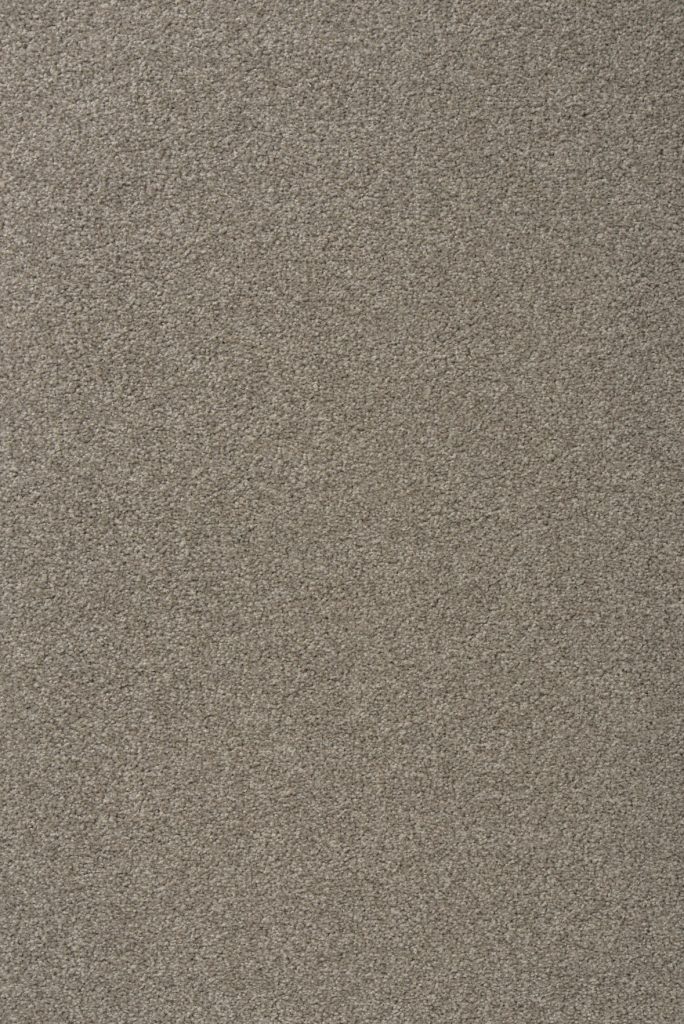 Vorwerk Frisea